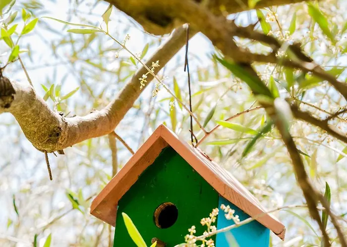 Hotel Igloo - Belorado